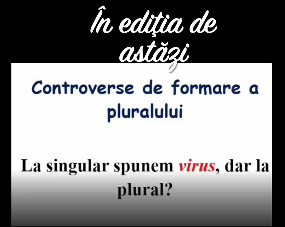 Cras condimentum vulputate ante in imperdiet