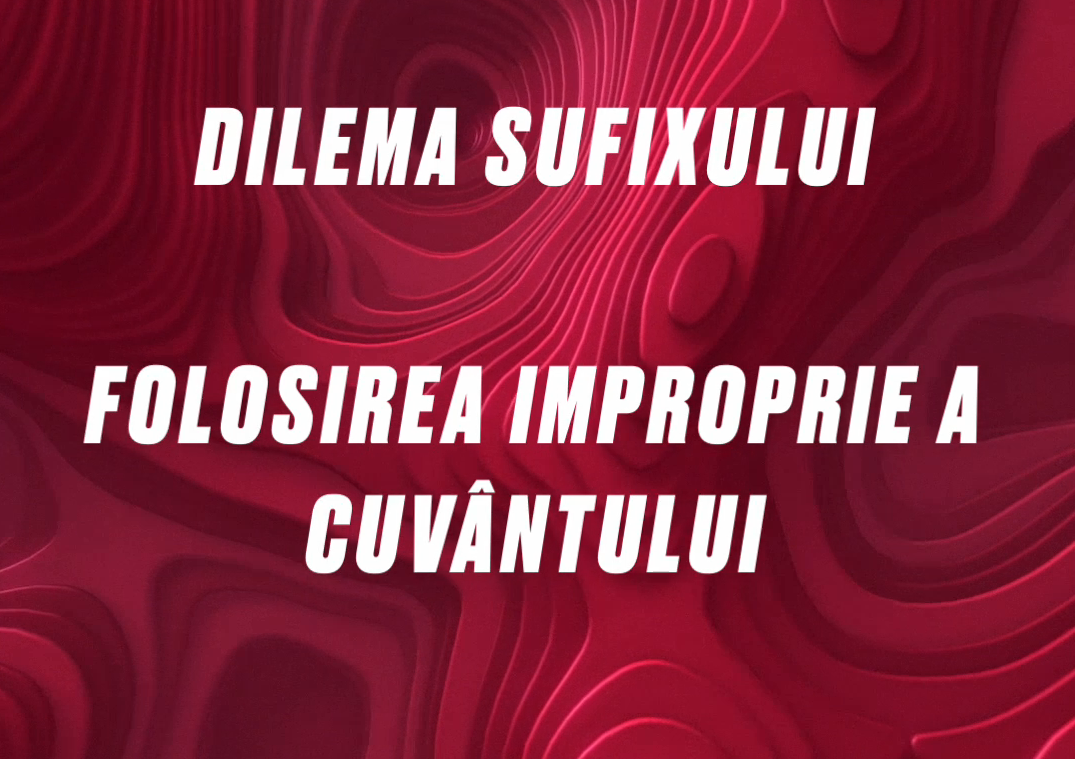 Cras condimentum vulputate ante in imperdiet