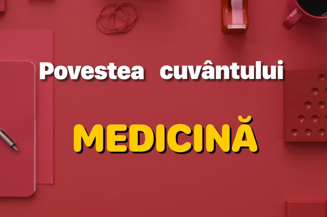 Cras condimentum vulputate ante in imperdiet