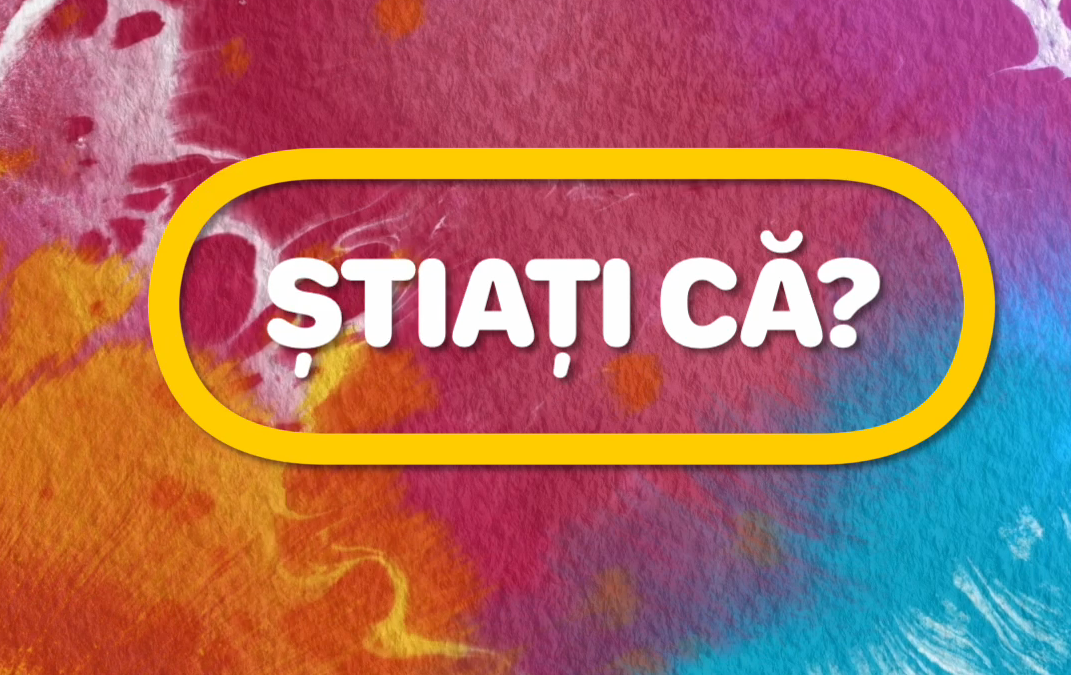 Cras condimentum vulputate ante in imperdiet