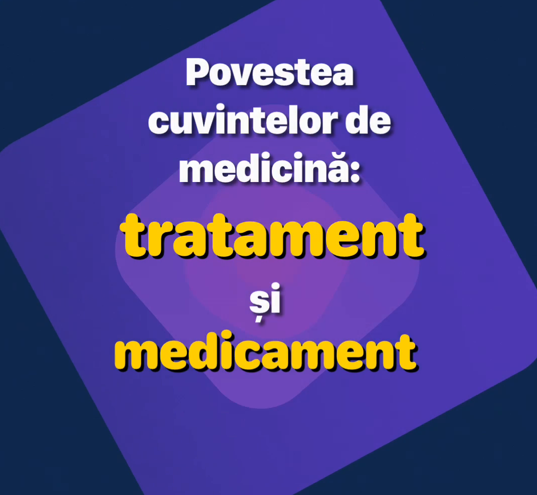 Cras condimentum vulputate ante in imperdiet
